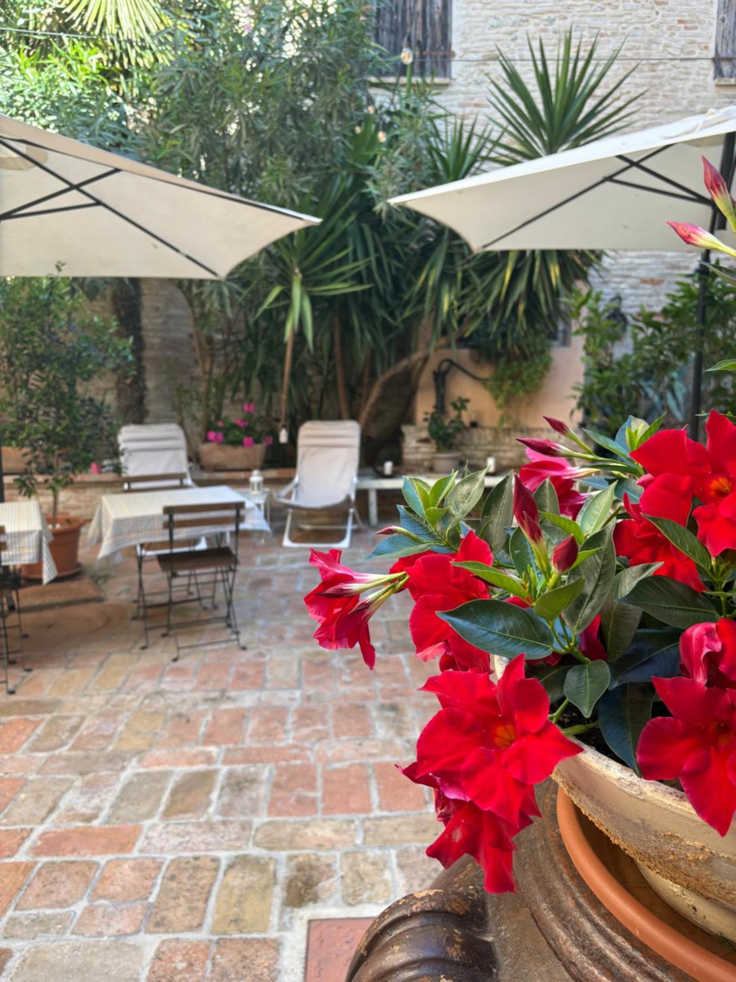 Relais B&B Corte Dei Turchi Longiano Buitenkant foto